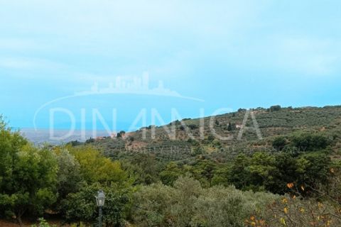 Landejendom i Vinci, Florence, Vinci - € 395.000 | Ref: 1003-262C - foto 46
