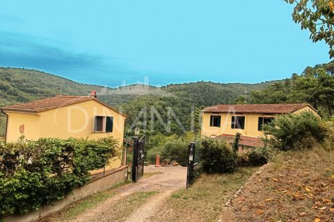 Landejendom i Vinci, Florence, Vinci - € 395.000 | Ref: 1003-262C - foto 1