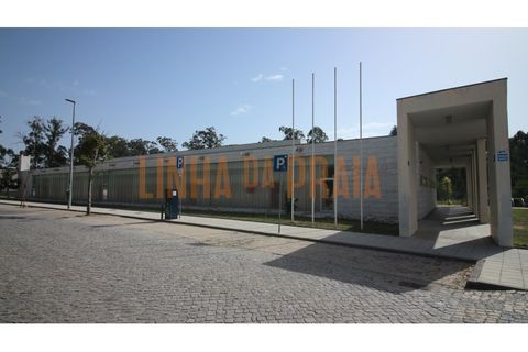 Tomt i Mindelo, Porto, Mindelo - € 175 000 | Ref: 5557 - foto 6