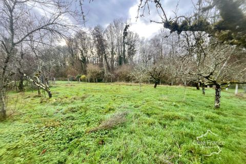 Villa a Toucy, Yonne, Toucy - € 199.000 | Ref: 119_Toucy - foto 3