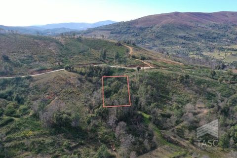 Helårsgrund i Fundao, Castelo Branco, Fundao - € 6.500 | Ref: TER_774 - foto 2