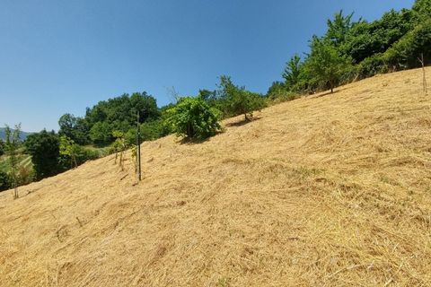 Villa a Zocca, Modena, Zocca - € 210.000 | Ref: 2942 - foto 36