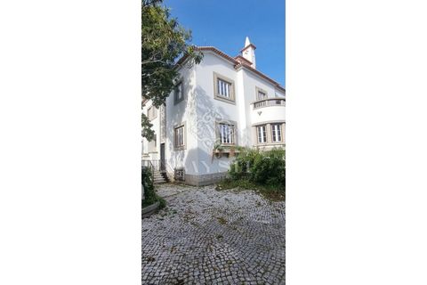 Villa i Alvalade, Setubal, Alvalade - € 6.500.000 | Ref: 888-888 - foto 29
