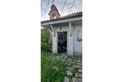 Villa i Alvalade, Setubal, Alvalade - € 6.500.000 | Ref: 888-888 - foto 33