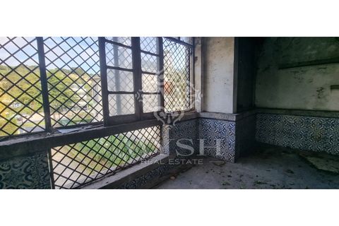 Villa i Alvalade, Setubal, Alvalade - € 6.500.000 | Ref: 888-888 - foto 39