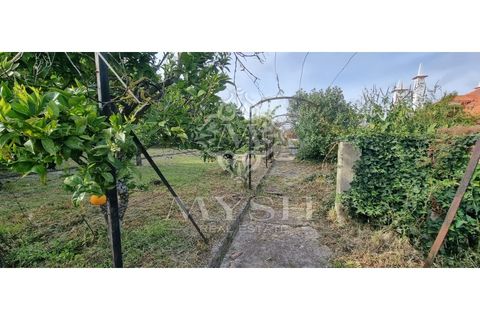 Villa i Alvalade, Setubal, Alvalade - € 6.500.000 | Ref: 888-888 - foto 41