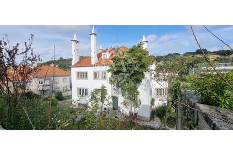 Villa i Alvalade, Setubal, Alvalade - € 6.500.000 | Ref: 888-888 - foto 42