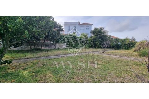 Villa i Alvalade, Setubal, Alvalade - € 6.500.000 | Ref: 888-888 - foto 43