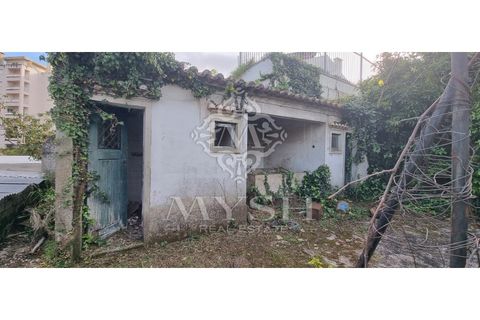 Villa i Alvalade, Setubal, Alvalade - € 6.500.000 | Ref: 888-888 - foto 45