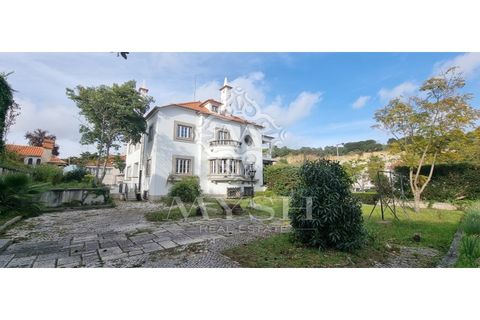 Villa i Alvalade, Setubal, Alvalade - € 6.500.000 | Ref: 888-888 - foto 46