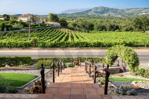 Villa i Moncao, Viana do Castelo, Moncao - € 530.000 | Ref: KWPT-020257 - foto 2