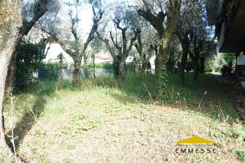 Villa i Massa, Massa and Carrara, Massa - € 480.000 | Ref: 1490 - foto 3
