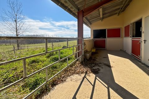 Villa a Parleboscq, Landes, Parleboscq - € 279.900 | Ref: 340932159841 - foto 13