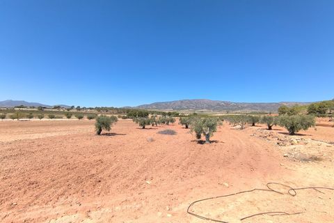 Helårsgrund i Monovar, Alicante, Monovar - € 28.990 | Ref: 70075 - foto 2