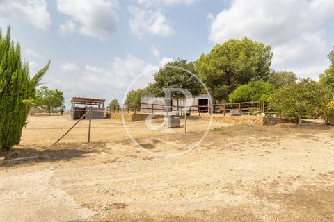 Villa a Montserrat, Valencia, Montserrat - € 375.000 | Ref: VV2509010 - foto 31