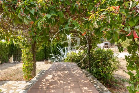 Villa a Montserrat, Valencia, Montserrat - € 375.000 | Ref: VV2509010 - foto 33
