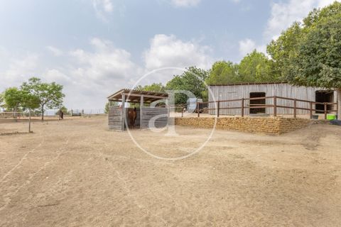 Villa a Montserrat, Valencia, Montserrat - € 375.000 | Ref: VV2509010 - foto 38