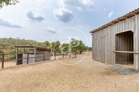 Villa a Montserrat, Valencia, Montserrat - € 375.000 | Ref: VV2509010 - foto 41