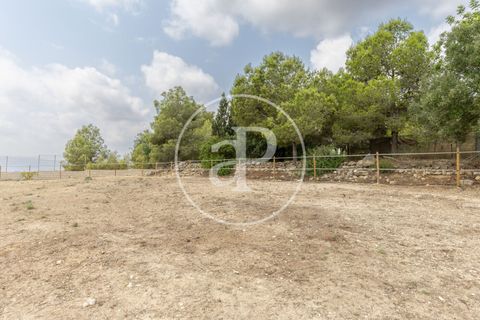 Villa a Montserrat, Valencia, Montserrat - € 375.000 | Ref: VV2509010 - foto 42
