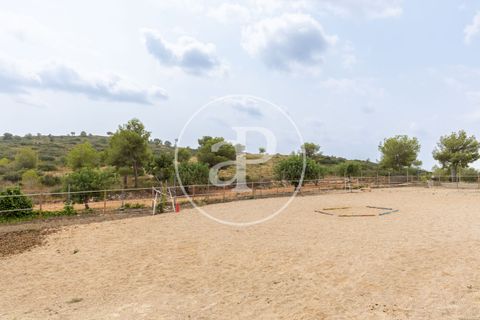 Villa a Montserrat, Valencia, Montserrat - € 375.000 | Ref: VV2509010 - foto 43