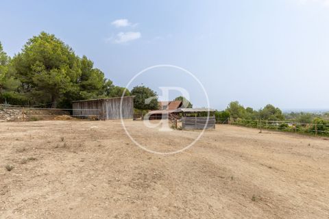 Villa a Montserrat, Valencia, Montserrat - € 375.000 | Ref: VV2509010 - foto 44