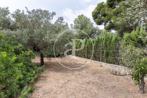 Villa a Montserrat, Valencia, Montserrat - € 375.000 | Ref: VV2509010 - foto 46