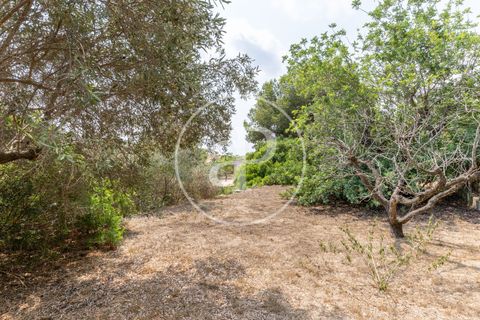 Villa a Montserrat, Valencia, Montserrat - € 375.000 | Ref: VV2509010 - foto 48