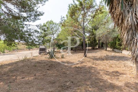 Villa a Montserrat, Valencia, Montserrat - € 375.000 | Ref: VV2509010 - foto 50