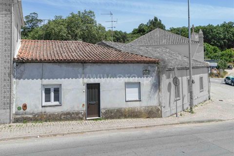 Villa a Monchique, Faro, Monchique - € 1.050.000 | Ref: 119250086 - foto 8