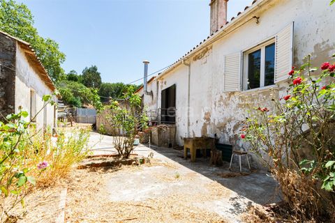 Villa a Monchique, Faro, Monchique - € 1.050.000 | Ref: 119250086 - foto 19