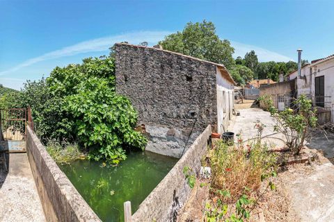 Villa a Monchique, Faro, Monchique - € 1.050.000 | Ref: 119250086 - foto 20