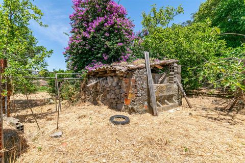 Villa a Monchique, Faro, Monchique - € 1.050.000 | Ref: 119250086 - foto 23