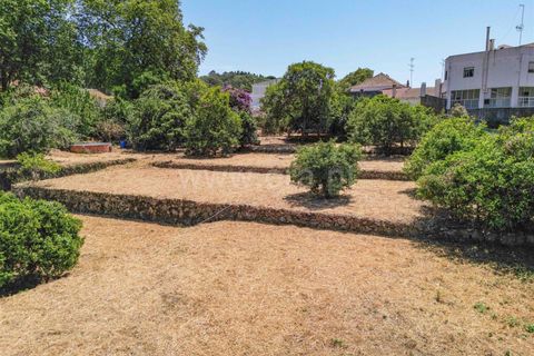 Villa a Monchique, Faro, Monchique - € 1.050.000 | Ref: 119250086 - foto 25