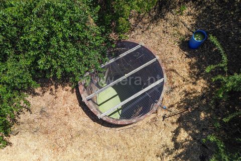 Villa a Monchique, Faro, Monchique - € 1.050.000 | Ref: 119250086 - foto 27