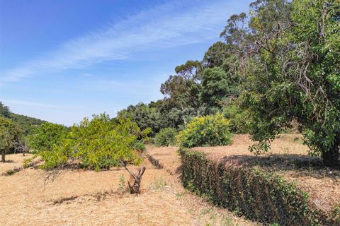 Villa a Monchique, Faro, Monchique - € 1.050.000 | Ref: 119250086 - foto 28