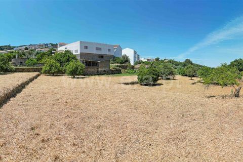 Villa a Monchique, Faro, Monchique - € 1.050.000 | Ref: 119250086 - foto 29