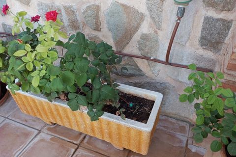 Villa i Malagon, Ciudad Real, Malagon - € 190.000 | Ref: EXP11200/8930 - foto 45