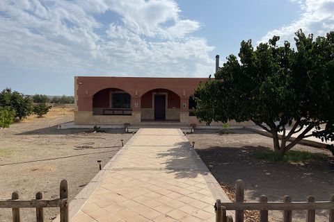 Landejendom i Tabernas, Almeria, Tabernas - € 260.000 | Ref: CAL439-25 - foto 3