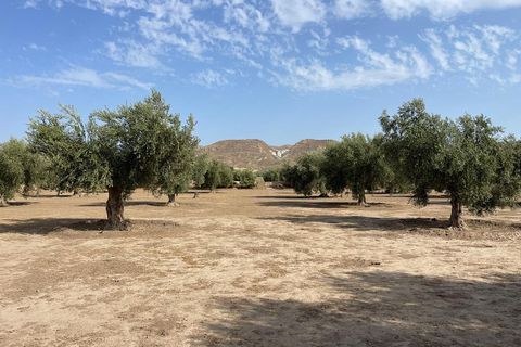 Landejendom i Tabernas, Almeria, Tabernas - € 260.000 | Ref: CAL439-25 - foto 30