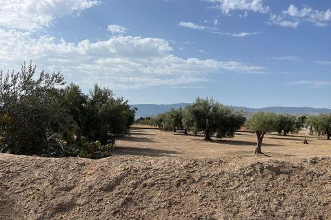 Landejendom i Tabernas, Almeria, Tabernas - € 260.000 | Ref: CAL439-25 - foto 31