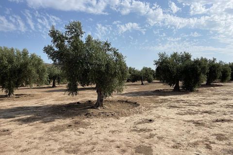 Landejendom i Tabernas, Almeria, Tabernas - € 260.000 | Ref: CAL439-25 - foto 32