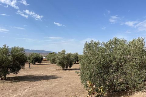Landejendom i Tabernas, Almeria, Tabernas - € 260.000 | Ref: CAL439-25 - foto 33