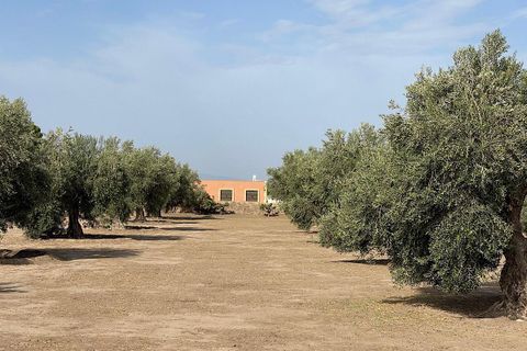 Landejendom i Tabernas, Almeria, Tabernas - € 260.000 | Ref: CAL439-25 - foto 36