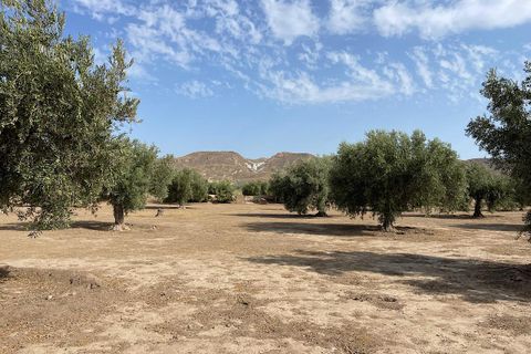 Landejendom i Tabernas, Almeria, Tabernas - € 260.000 | Ref: CAL439-25 - foto 38