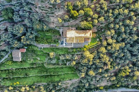 Masia a Soller, Mallorca, Soller - € 5.500.000 | Ref: MAL55883 - foto 31