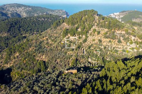 Masia a Soller, Mallorca, Soller - € 5.500.000 | Ref: MAL55883 - foto 32
