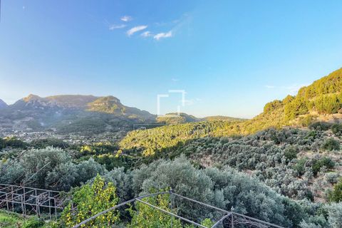 Masia a Soller, Mallorca, Soller - € 5.500.000 | Ref: MAL55883 - foto 33