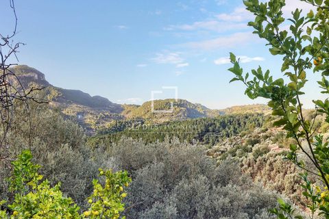 Masia a Soller, Mallorca, Soller - € 5.500.000 | Ref: MAL55883 - foto 34