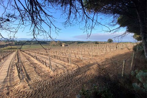 Lejlighed i Badesi, Sassari, Badesi - € 99.000 | Ref: Bilocale Residenza Via Mare (2D). - foto 13