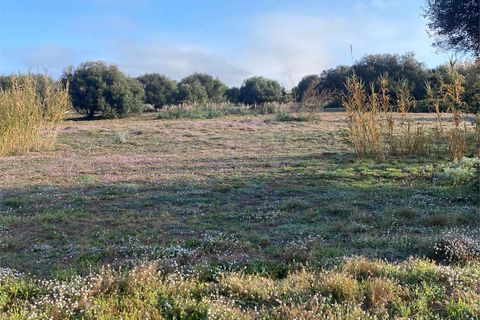 Lejlighed i Badesi, Sassari, Badesi - € 119.000 | Ref: Bilocale - Residenze di Via Mare (1B). - foto 14